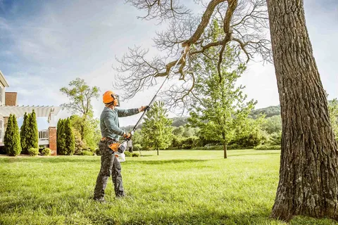 Tree Trimming Services